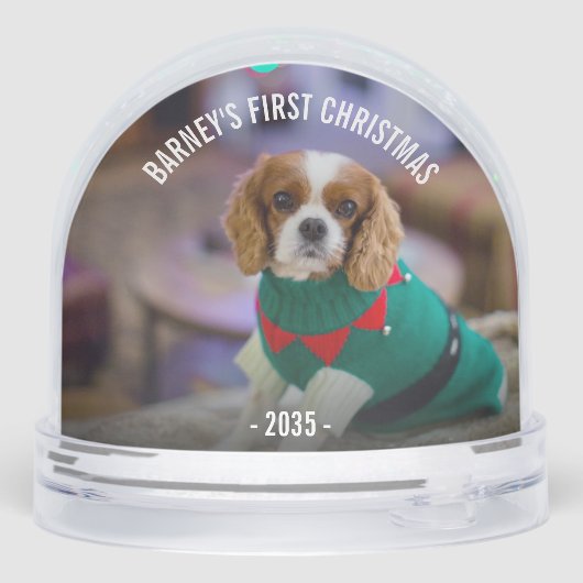 Kerstfoto van Winterhond Sneeuwbol (Achterkant)