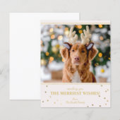 Kerstfoto voor een klein budget (Voorkant / Achterkant)