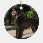 Kerstfotograaf Puppy Dog Black Poodle Keramisch Ornament (Achterkant)