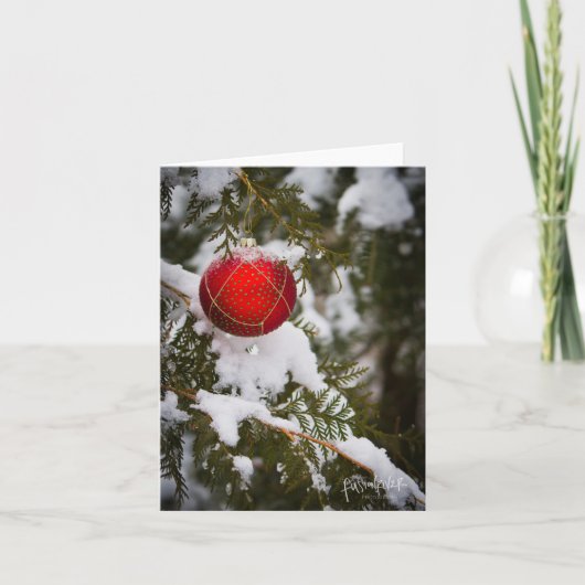 Kerstfotokaart Feestdagen Kaart (Voorkant)