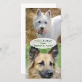 Kerstfotokaart van honden feestdagenkaart (Voorkant / Achterkant)