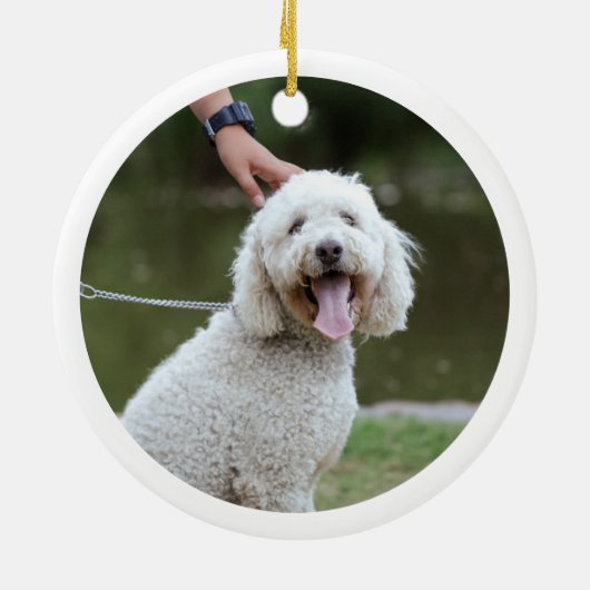 kerstfoto's Cute Puppy Dog White Poodle Keramisch Ornament (Achterkant)