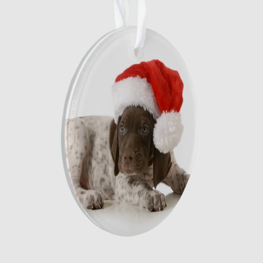 kerstfoto's - Duitse Shorthaired Pointer Ornament (voorkant)