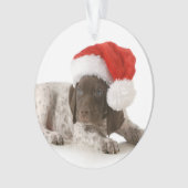 kerstfoto's - Duitse Shorthaired Pointer Ornament (voorkant)