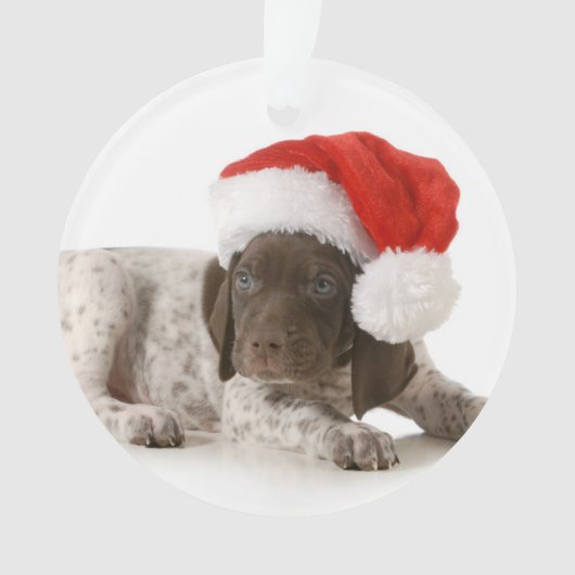 kerstfoto's - Duitse Shorthaired Pointer Ornament (voorkant)