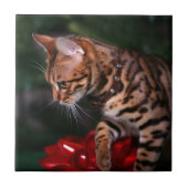 kerstfoto's Kat (huiselijk bengaal) Tegeltje (Voorkant)