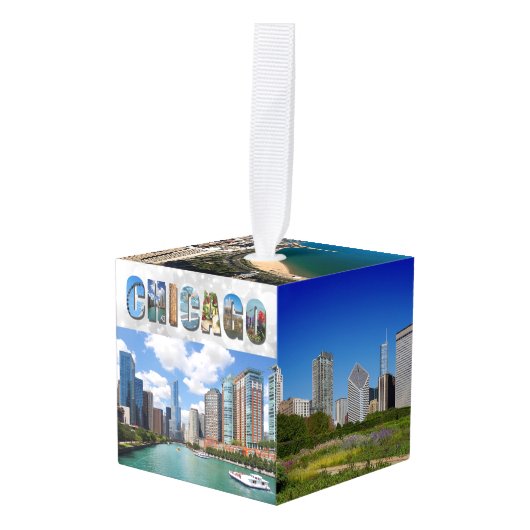 Kerstfoto's van Chicago Illinois Decoratie (Voorkant hoekig)