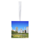 Kerstfoto's van Chicago Illinois Decoratie (Rechts)