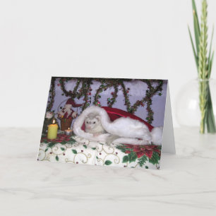 kerstfret feestdagen kaart