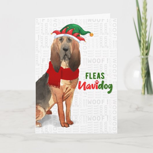 KerstFunny Bloodhound Fleas NaviDOG Feestdagen Kaart (Voorkant)