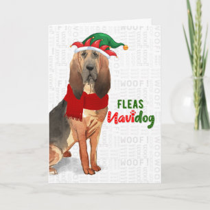 KerstFunny Bloodhound Fleas NaviDOG Feestdagen Kaart