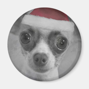 KerstFunny Chihuahua Puppy met Santa Hat Magneet