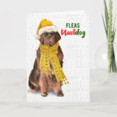 KerstFunny Newfoundland Fleas NaviDOG Feestdagen Kaart (Voorkant)
