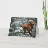 kerstgebak feestdagen kaart (Voorkant)