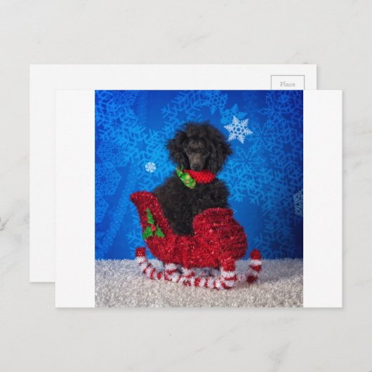 kerstgebak feestdagenkaart (Voorkant / Achterkant)