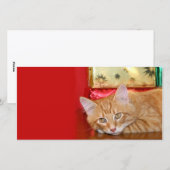 Kerstgeduld Feestdagenkaart (Voorkant / Achterkant)