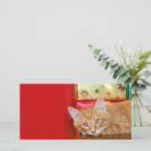 Kerstgeduld Feestdagenkaart (Staand voorkant)