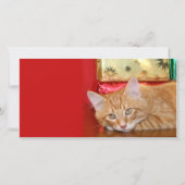 Kerstgeduld Feestdagenkaart (Voorkant)