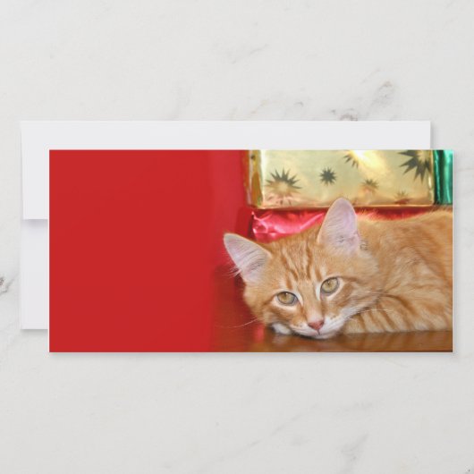 Kerstgeduld Feestdagenkaart (Voorkant)