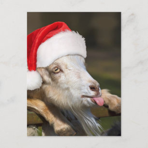 kerstgeit briefkaart