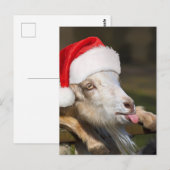 kerstgeit briefkaart (Voorkant / Achterkant)