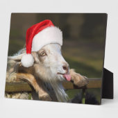Kerstgeit Fotoplaat (Zijkant)