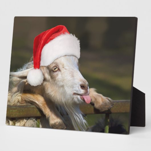 Kerstgeit Fotoplaat (Zijkant)
