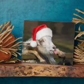 Kerstgeit Fotoplaat (Zijkant)