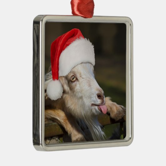 kerstgeit metalen ornament (Rechts)