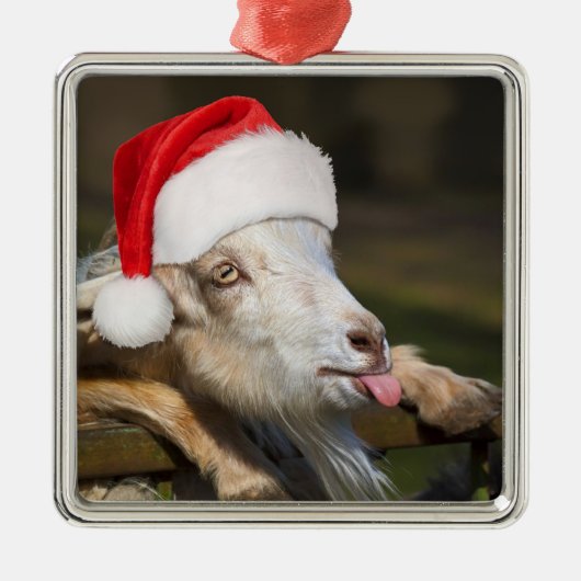 kerstgeit metalen ornament (Voorkant)