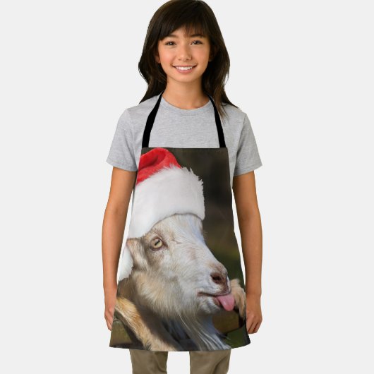 kerstgeit schort (Insitu)