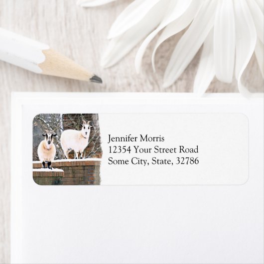 kerstgeiten etiket (Insitu)