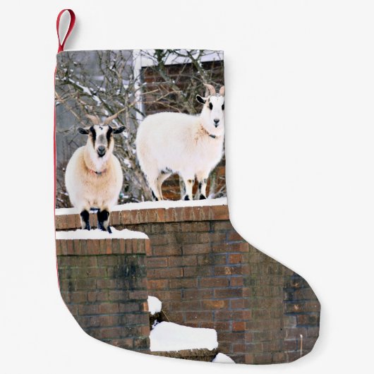 kerstgeiten kleine kerstsok (Voorkant)