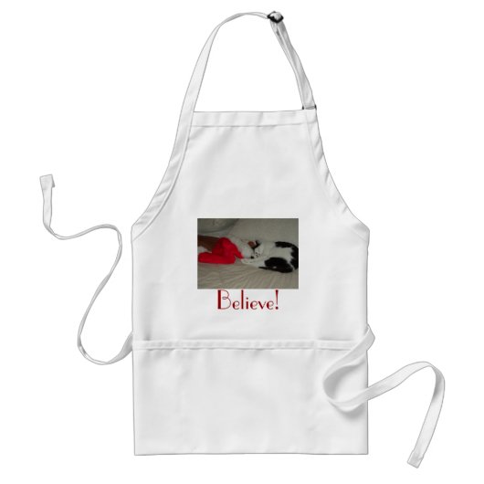 Kerstgeloof Kitty Cat Standaard Schort (Voorkant)