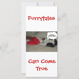 Kerstgeloof Zwarte en Witte Keuten