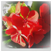 KerstGeranium Fabric Stof (Swatch)