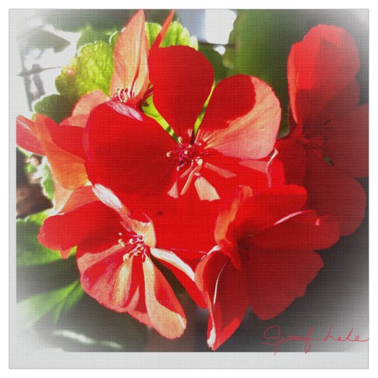 KerstGeranium Fabric Stof (Swatch)