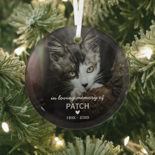 Kerstgeschenk voor huisdierkat in herinnering foto glas ornament