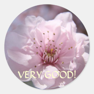 KERSTGESCHENKEN LERAREN "Goed" Klasstickers Ronde Sticker