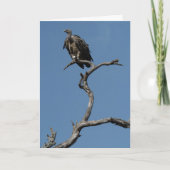 kerstgier feestdagen kaart (Voorkant)