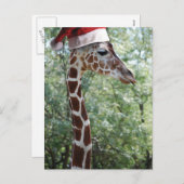 KerstGiraffe met kerstman Feestdagenkaart (Voorkant / Achterkant)