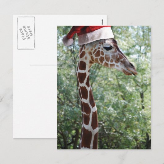 KerstGiraffe met kerstman Feestdagenkaart (Voorkant / Achterkant)