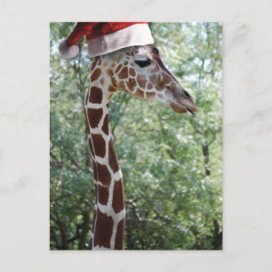 KerstGiraffe met kerstman Feestdagenkaart