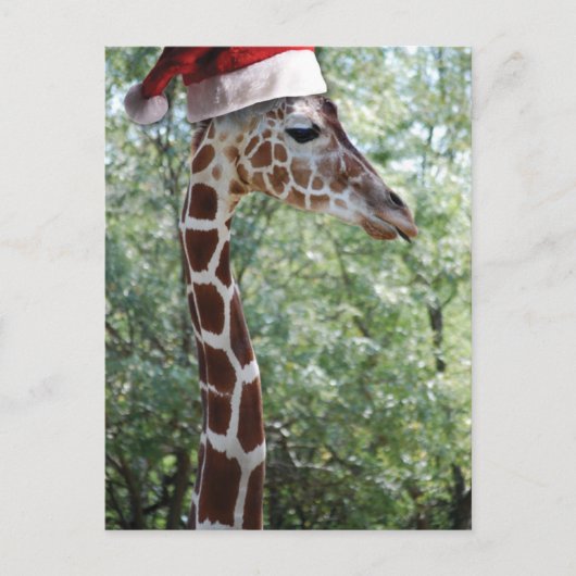 KerstGiraffe met kerstman Feestdagenkaart (Voorkant)