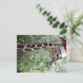 KerstGiraffe met kerstman Feestdagenkaart (Staand voorkant)