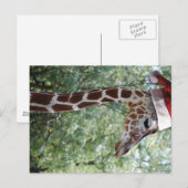 KerstGiraffe met kerstman Feestdagenkaart (Voorkant / Achterkant)