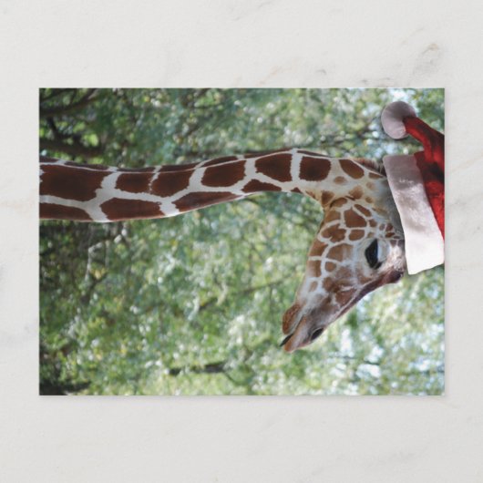 KerstGiraffe met kerstman Feestdagenkaart (Voorkant)