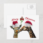 kerstGiraffes zoenen onder mistletoe Feestdagenkaart (Voorkant / Achterkant)