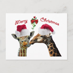 kerstGiraffes zoenen onder mistletoe Feestdagenkaart