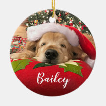 Kerstgouden koortsnaveldog onder de boom